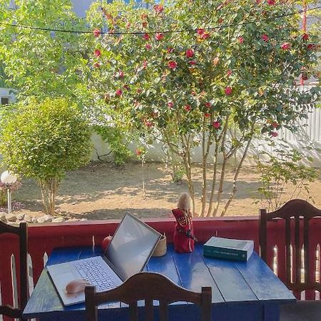 Cottage Коттеджи С Балконом Kobuleti Exteriér fotografie